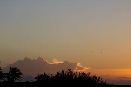 Peaceful and relaxing sunset with a partly clear sky with birds flyingの写真素材
