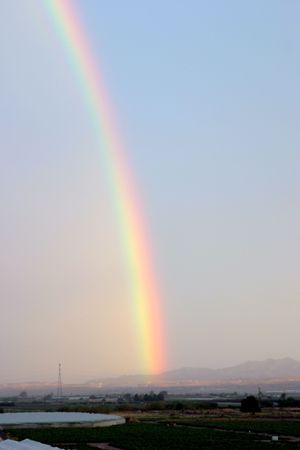 rainbowの写真素材