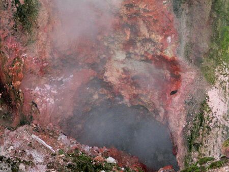 new zealandの写真素材