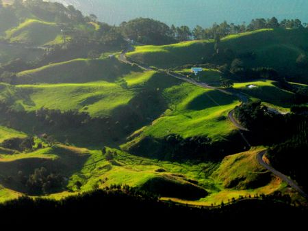 New Zealand
