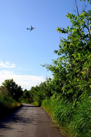 Delta Llobregat in Barcelonaの写真素材