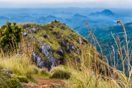 Serenity of Nature on a mountain top in Ella, Sri Lankaの写真素材