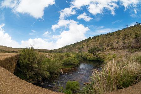 Landscape of a river flowing through a valley in Horton Plains, Sri Lankaの写真素材