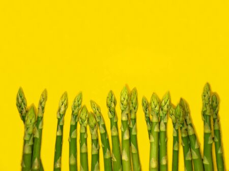 Bunch of raw asparagus. Fresh green asparagus on a yellow backgroundの写真素材