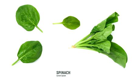 Spinach leaves isolated on white background.
