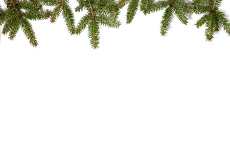 Christmas frame made of fir branches. Flat lay.の写真素材