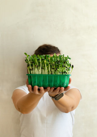 Microgreen sunflower sprouts in female hands. Raw sprouts microgreens, ealthy eating.の写真素材
