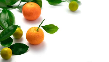 Ripe tangerines with leaves on a white backgroundの写真素材