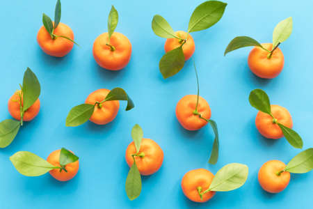 Clementines with leaves on a blue background. Top view with copy space.の写真素材
