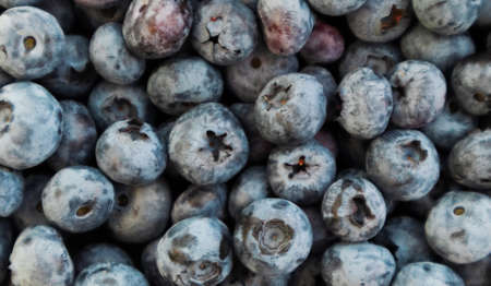 Fresh blueberries background. Berries close up, Texture blueberry.の写真素材