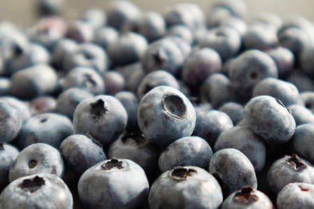 Fresh blueberries background. Berries close up, Texture blueberry.の写真素材