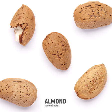 Almond nut with shell isolated on white background