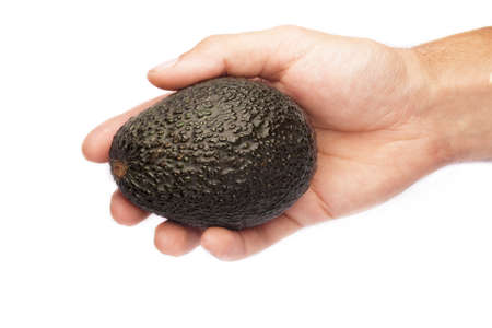 The man is holding avocado Hass. Avocado isolated on white background