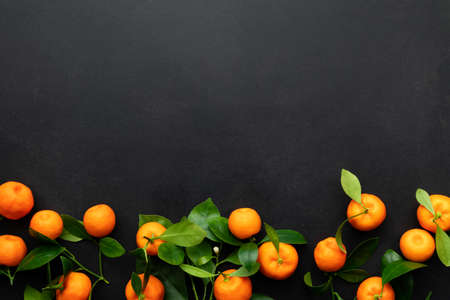 Mandarins or clementines with leaves on a black background. Top view.の写真素材