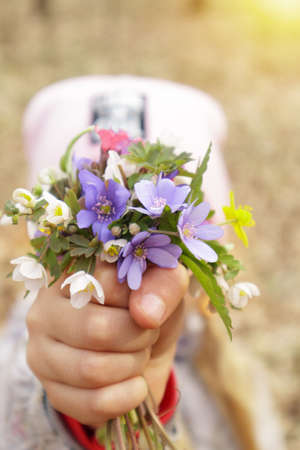 Girl holding a bouquet of wildflowersの写真素材