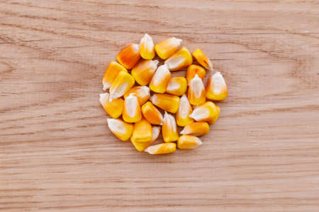 Heap of raw corns seeds, maize or sweetcorn kernels top view on wooden background.の写真素材
