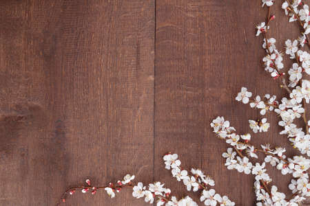 Apricot blossoms on branches on wooden background. Top viewの写真素材
