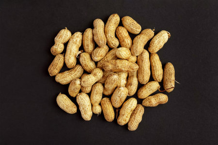 Roasted peanuts, peanuts in shell Isolated on black backgroundの写真素材