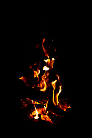 Fire flames on black background. Burning wood at night, Campfire.
