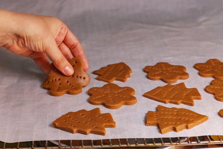 Women make gingerbread cookies for Holidays. Christmas cookies.の写真素材