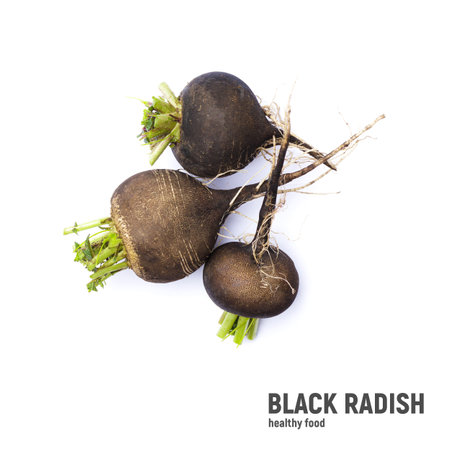 Fresh black Spanish radish isolated on a white backgroundの写真素材