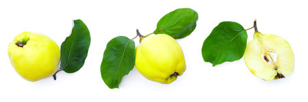 Ripe quince fruits and quince with green leaves slices isolated on a white background.の写真素材