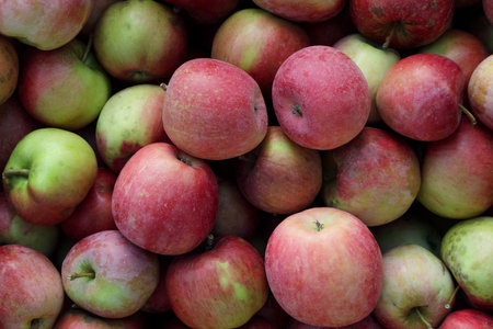 Heap of fresh red and green apples close-up. Natural fruit background with ripe organic apples,...