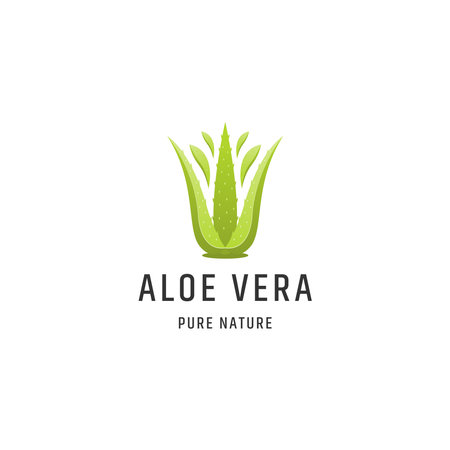 Aloe vera green nature logo icon design template vector illustrationのイラスト素材