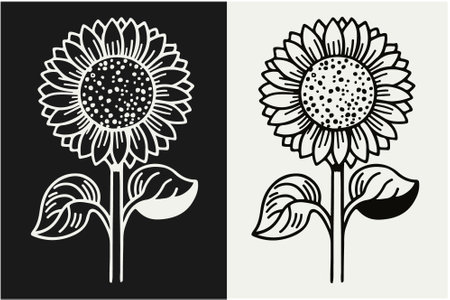 Sunflowers on black and white background. Hand drawn vector illustration.のイラスト素材