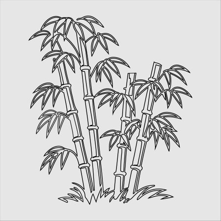 Bamboo hand drawn vector illustration. Bamboo hand drawn sketch.のイラスト素材
