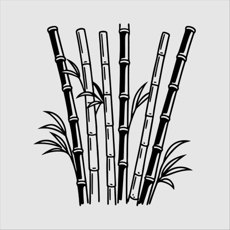 Sugar cane. Hand drawn black and white illustration. Vector.のイラスト素材