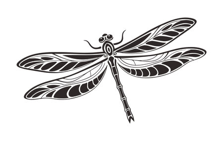 This image is a stylized illustration of a dragonfly rendered in black and white. The dragonfly is depicted in profile view with its wings spread.  The wings feature a detailed, repeating pattern of curved lines and shapes creating a textured effect. The body of the dragonfly is also intricately detailed with segmented lines. The style is graphic and decorative, suitable for various design applications. The overall mood is elegant and sophisticated. The image is clean and crisp, with high contrast between the black and white elements.  There is no background, making it suitable for use on various backgrounds.のイラスト素材