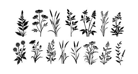 Set of hand drawn meadow herbs and flowers. Vector illustration.のイラスト素材