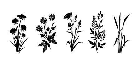 Set of black silhouettes of wild flowers and grass. Vector illustrationのイラスト素材