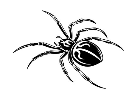 Black spider isolated on white background. Vector illustration. Eps 10.のイラスト素材