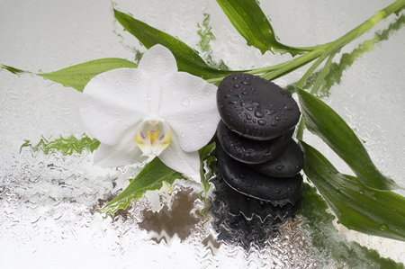 spa Background - orchids black stones and bamboo on waterの写真素材