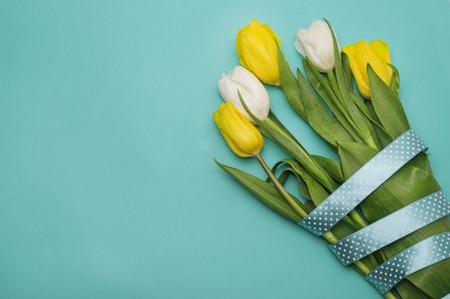 Yellow tulips with yellow ribbon on blue backgroundの写真素材