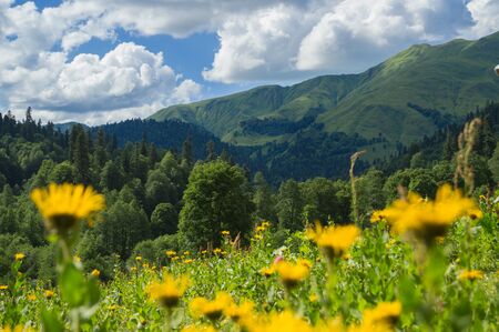 Beautiful view of alpine meadows in the Caucasus mountainsの写真素材