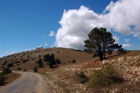 road on mountain. landscapeの写真素材