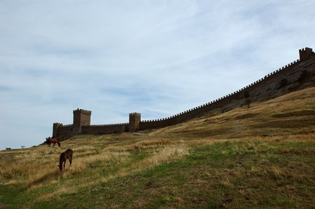 old fort and horses. landscape
