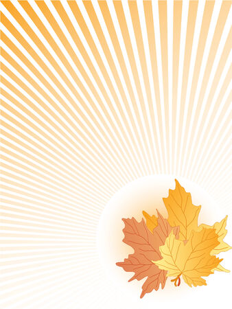 autumn leaves abstract. vectorのイラスト素材