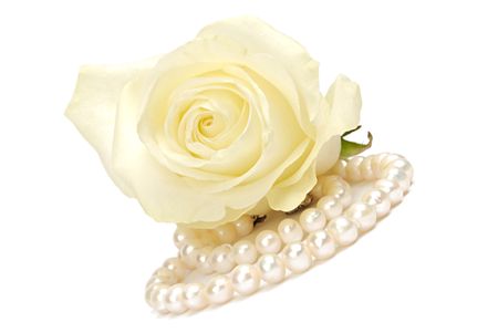 beautiful rose and pearls on whiteの写真素材