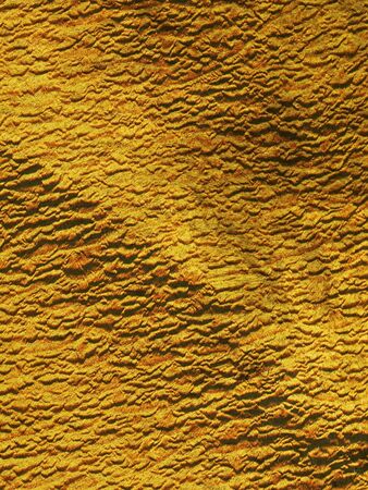 fur texture. Close-upの写真素材