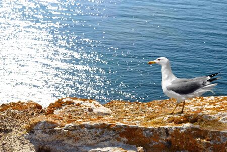 sea rocky bay. landscapeの写真素材