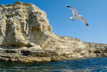 sea rocky bay. landscapeの写真素材