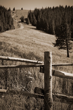 wooden fencing in villiage の写真素材