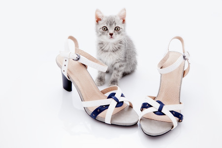 sandals. shoes on white の写真素材