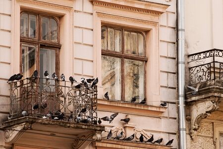 old window and a balcony with pigeons. close-up