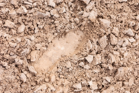 texture. footprint on cracked sand. soil coverの写真素材