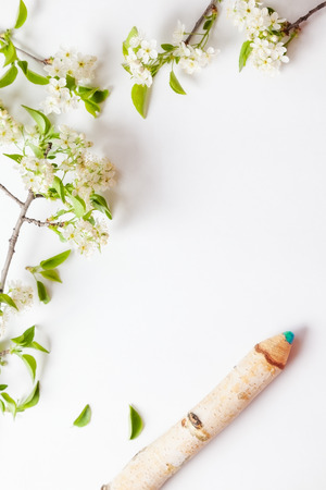beautiful cherry blossoms with birch pencil. backgroundの写真素材